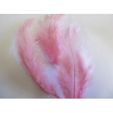 Poultry Feather